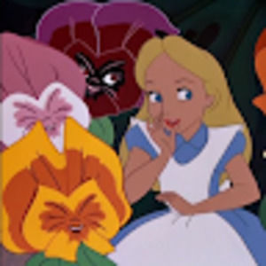 Meet your Posher, Janelle